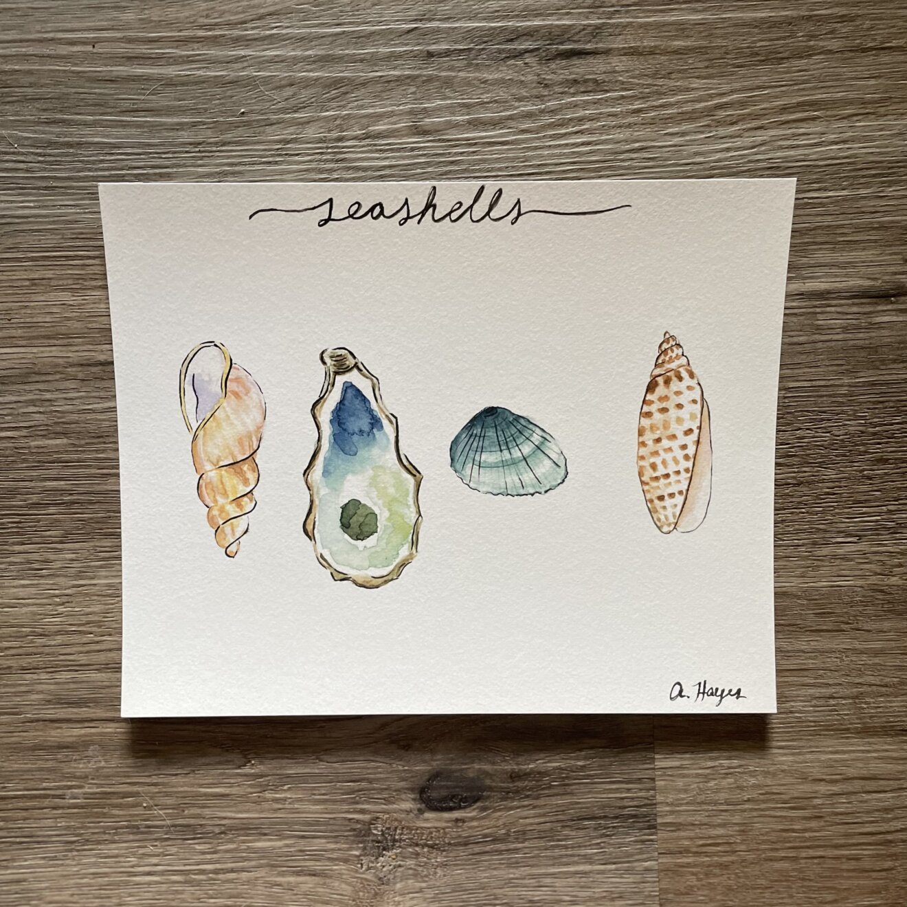 Seashells Watercolor