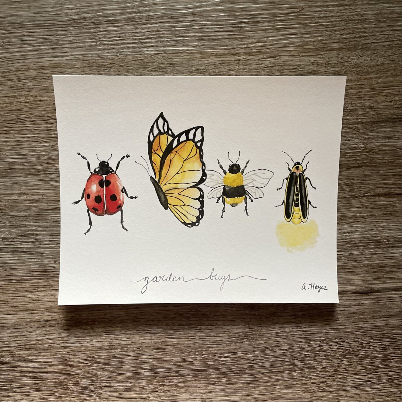 Garden Bugs Watercolor