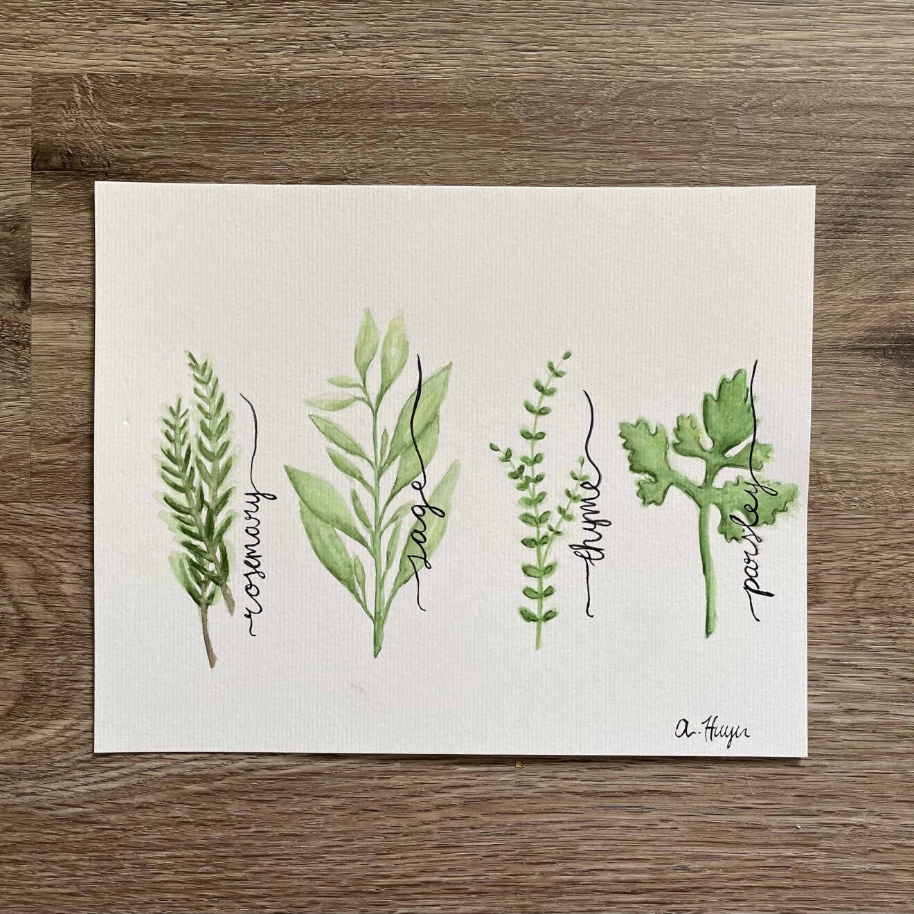 Herbs Watercolor